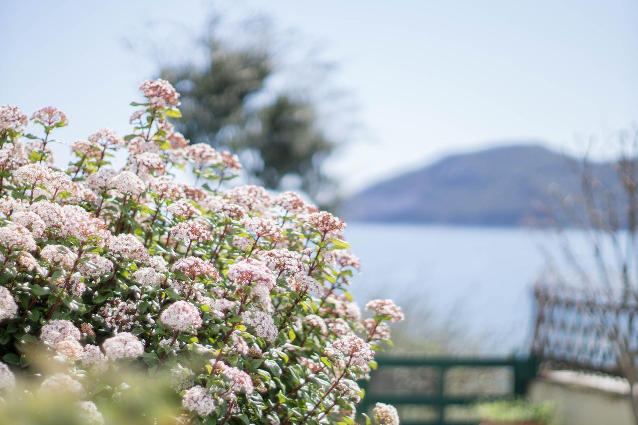 Villa Eirini Nea Iraklitsa Esterno foto